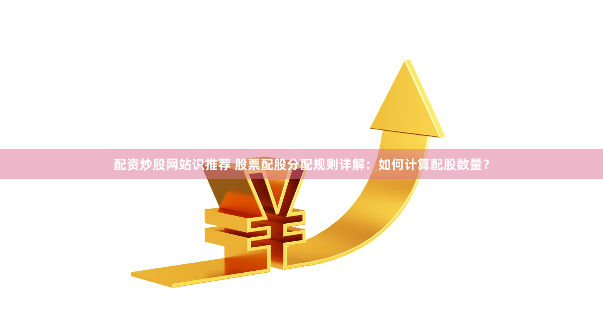 配资炒股网站识推荐 股票配股分配规则详解：如何计算配股数量？