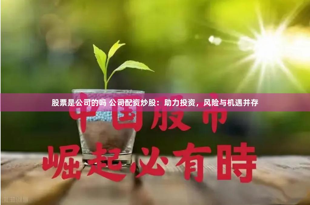 股票是公司的吗 公司配资炒股：助力投资，风险与机遇并存