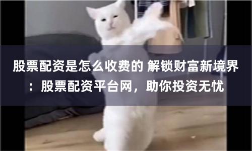 股票配资是怎么收费的 解锁财富新境界：股票配资平台网，助你投资无忧