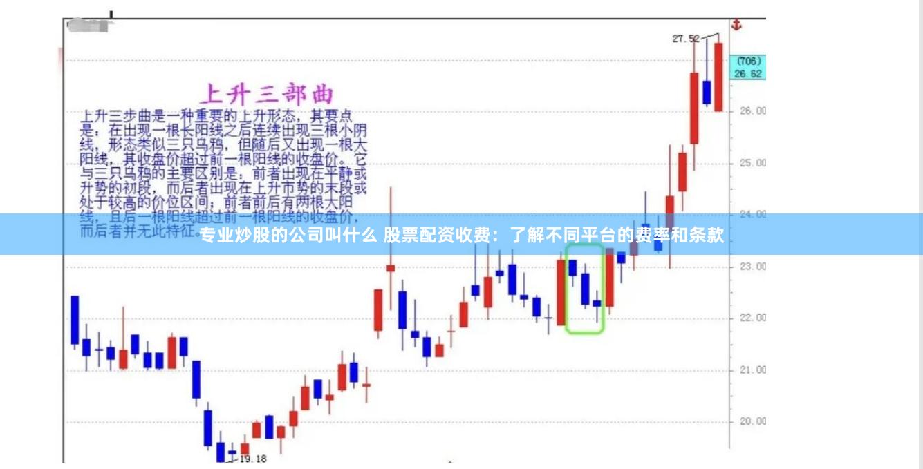 专业炒股的公司叫什么 股票配资收费:了解不同平台的费率和条款