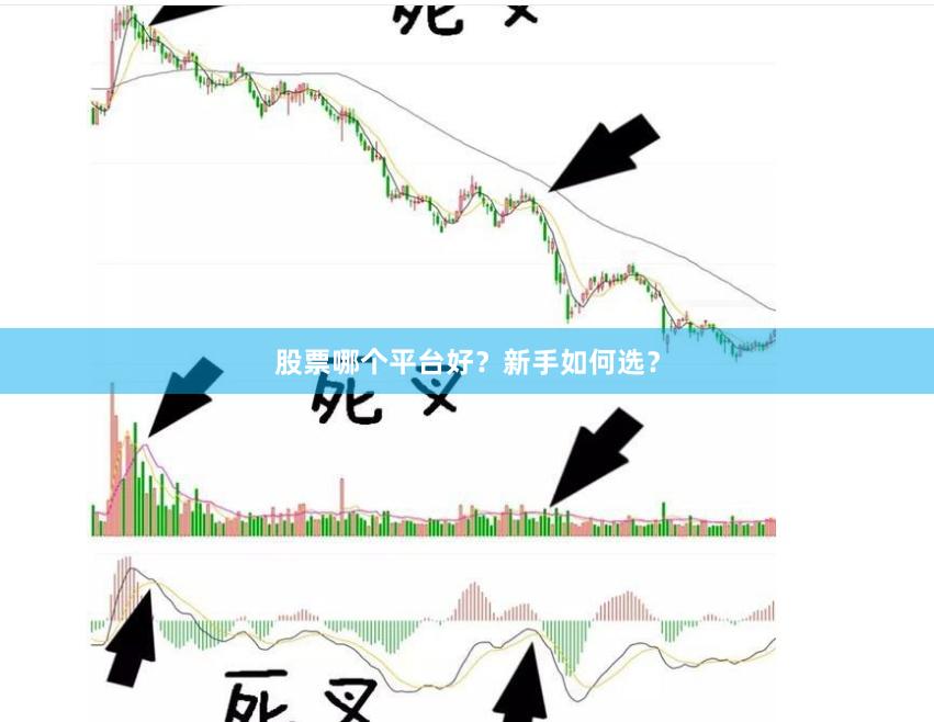 股票哪个平台好?新手如何选?