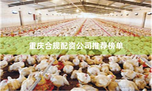 重庆合规配资公司推荐榜单