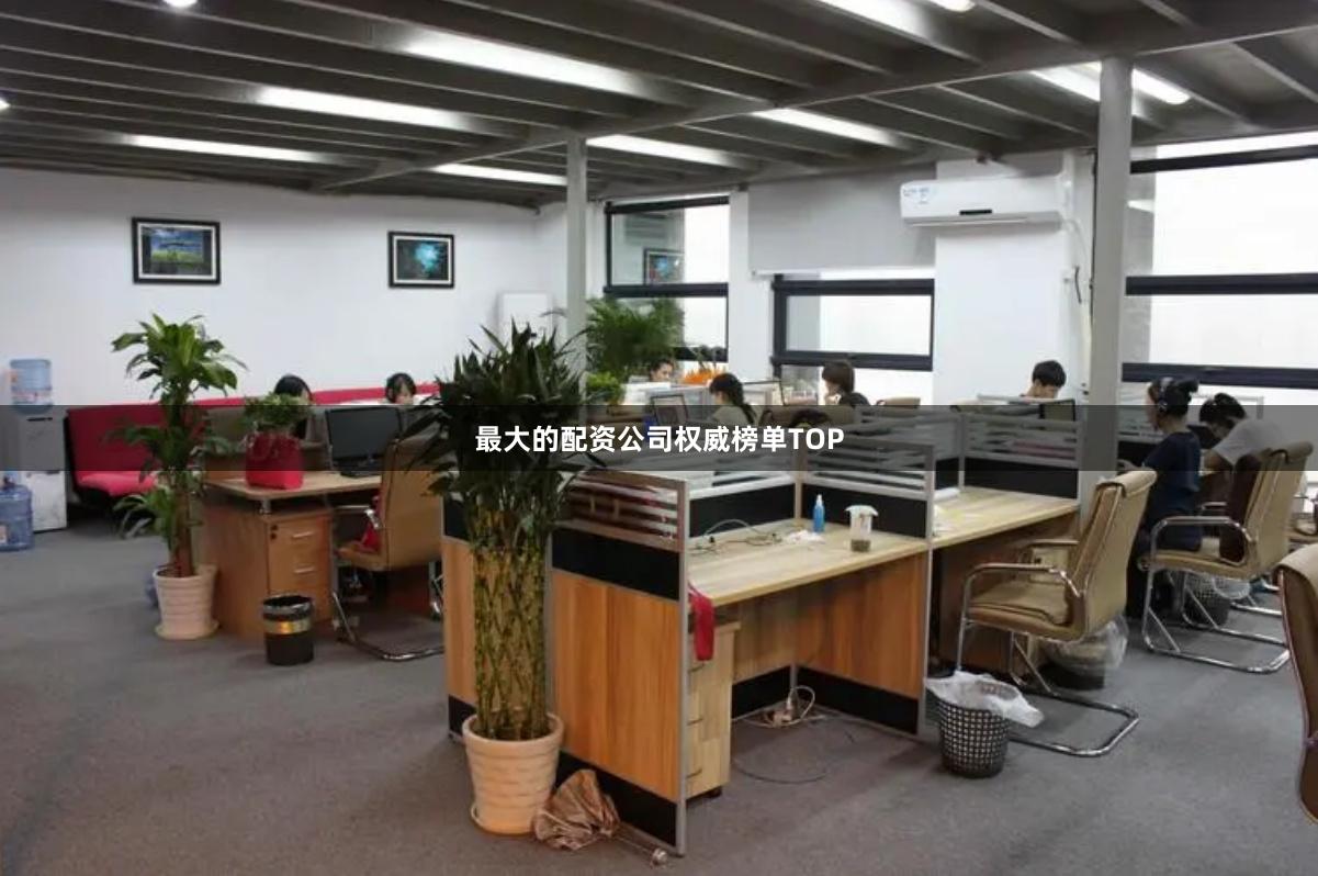 最大的配资公司权威榜单TOP